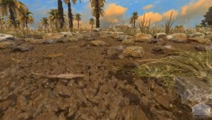 dirt