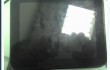 hp-touchpad-go