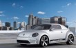 volkswagenebugsterdantetktk