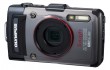 olymtg101eng
